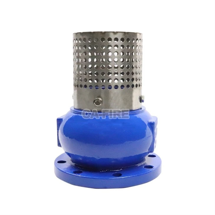 Ductile Iron Foot Valve suppliers