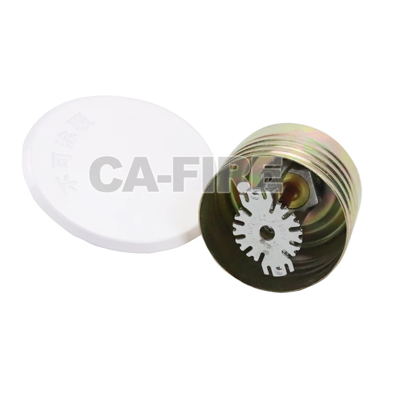 product-800-800