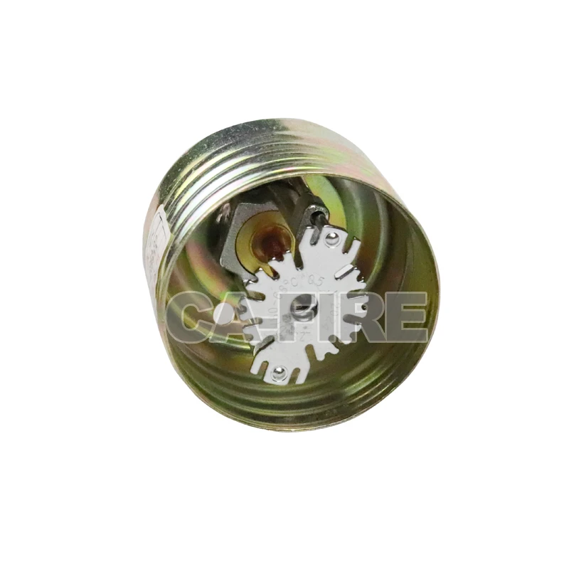 product-800-800